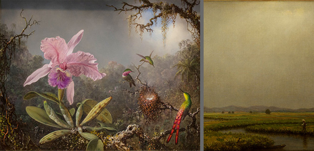 Martin Johnson Heade, Cattleya Orchid and Three Brazilian Hummingbirds. Oil on panel, 1871. National Gallery of Art, Gift of the Morris and Gwendolyn Cafritz Foundation, 1982.73.1.Detail of Jersey Meadows with a Fisherman.